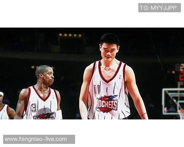 临安青山姚明的传奇人生与篮球梦想交织的故事